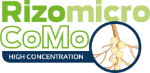 logo rizomicro CoMo.png
