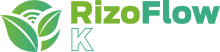 logo rizoflowk