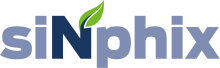logo synphix.png